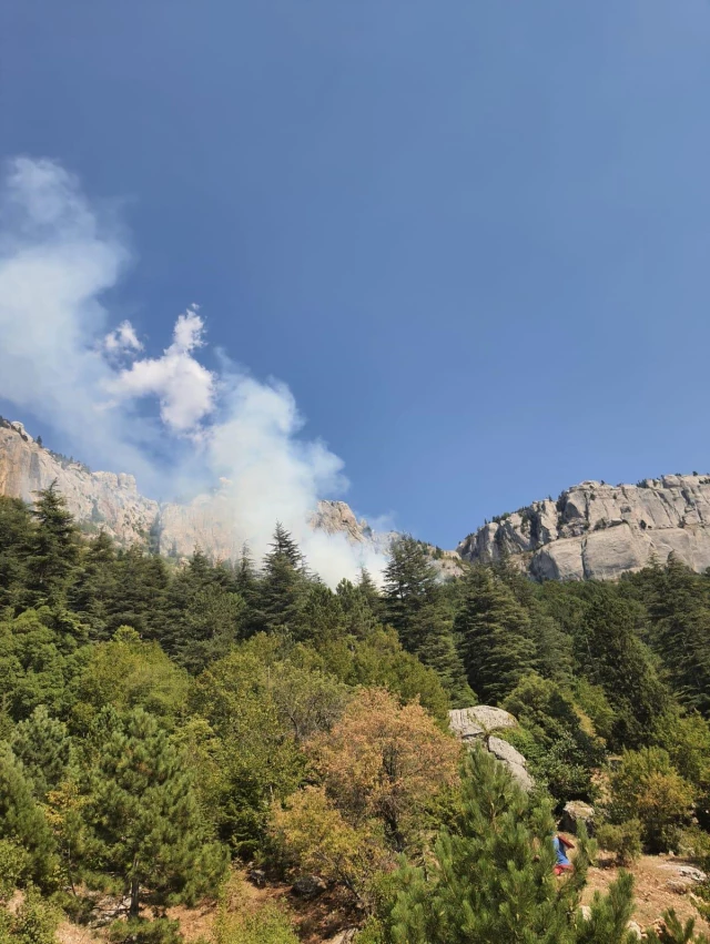 Son dakika haber! Adana'nın Feke ilçesinde çıkan orman yangınına müdahale ediliyor