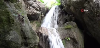 Amasya'nın serinleten saklı cenneti 'Aktaş Şelalesi'