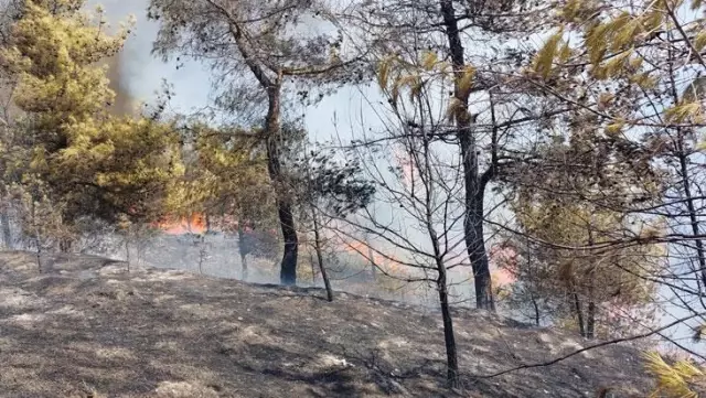 Antalya ve Muğla başta olmak üzere 5 ilimizde alevlerle mücadele devam ederken Hatay'da da yangın başladı