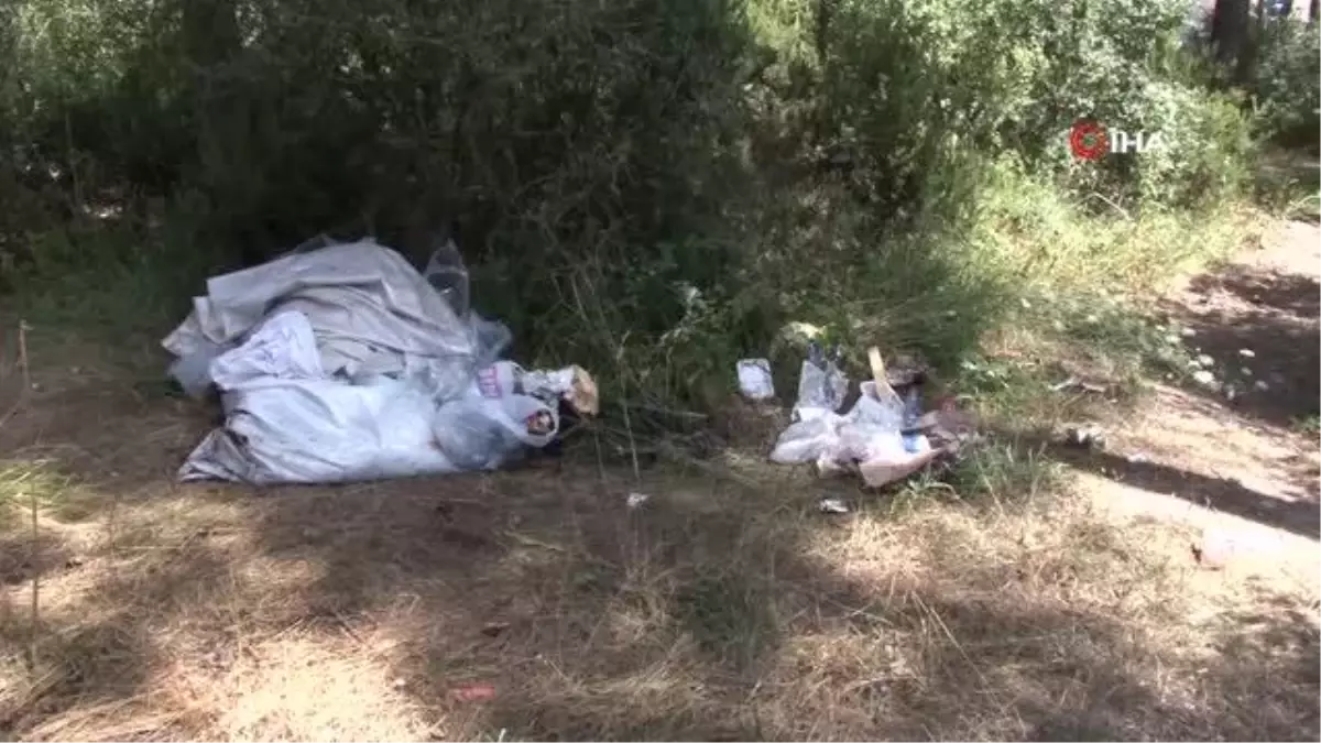 Ataşehir'de Kayışdağı Ormanı'nda temizlik çalışmaları sıklaştırıldı