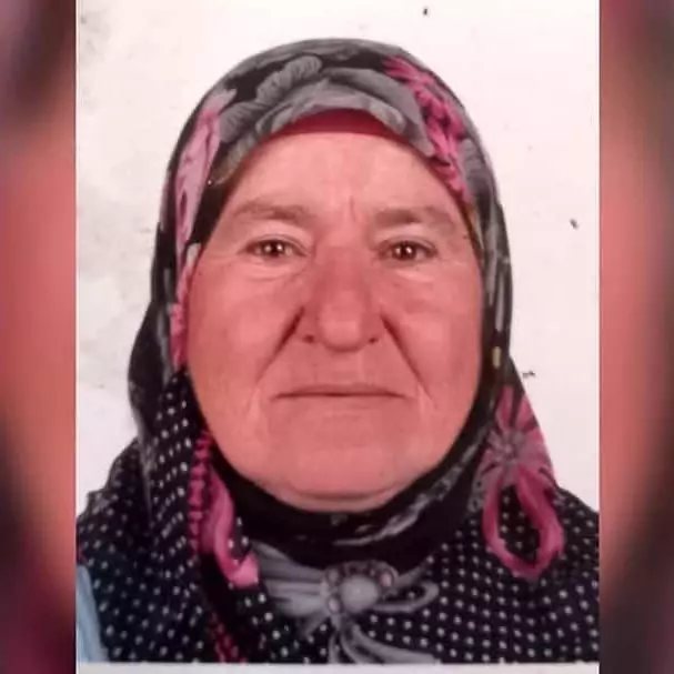 Bozcaada'da kaybolan Alzheimer hastası kadın 6 gündür aranıyor