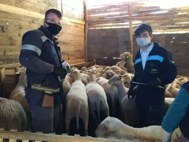 Kütahya'da çiçek hastalığı sebebiyle 4 köy ve 8 mahalle karantinaya alındı Kütahya'da çiçek hastalığı sebebiyle 4 köy ve 8 mahalle karantinaya alındı