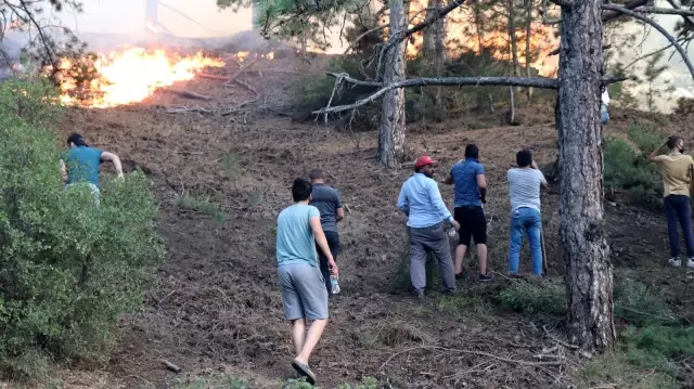 Denizli bir uçtan bir uca yanıyor