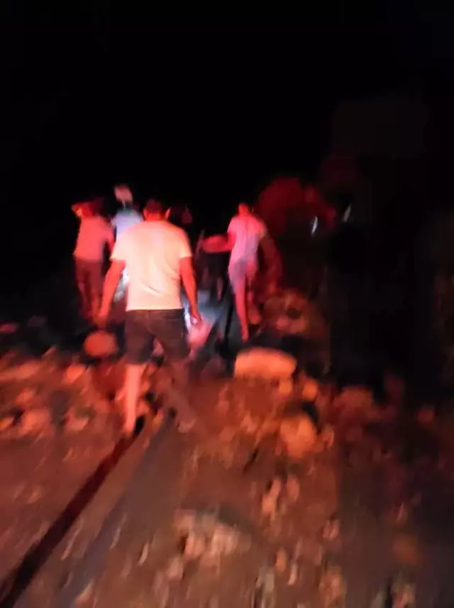 Son dakika haberi: Didim'deki yangın Akbük'e sıçramadan kontrol altına alındı