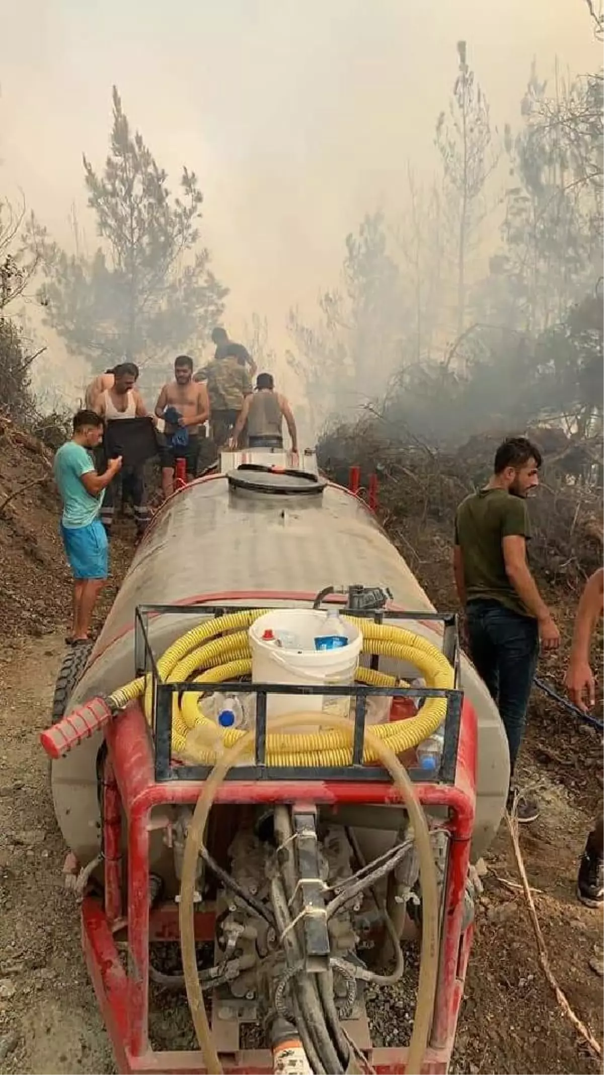 Dörtyol'da orman yangını (4)