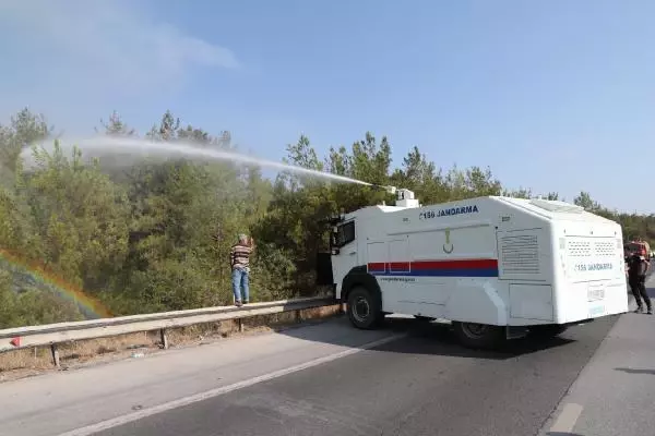 Dörtyol'da orman yangını (4)