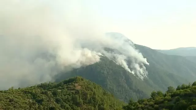 Gündoğmuş'taki orman yangınına müdahale ediliyor
