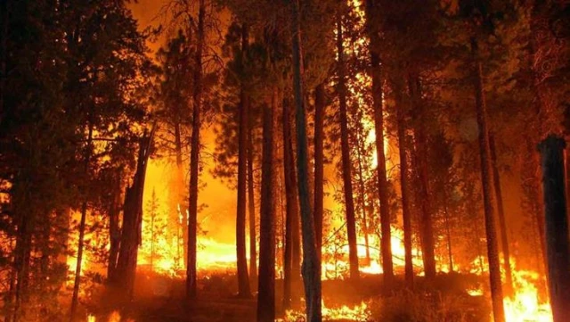 Her felakette ortaya çıkıyorlar! Fırsatçılar, yangın malzemelerine son bir haftada yüzde 630'lara varan zam yaptı