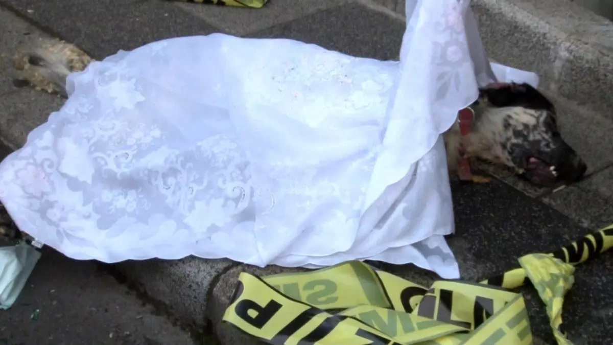 Son dakika haberi | Mahalle bekçisinin yangında telef olan köpeğe müdahalesi kamerada