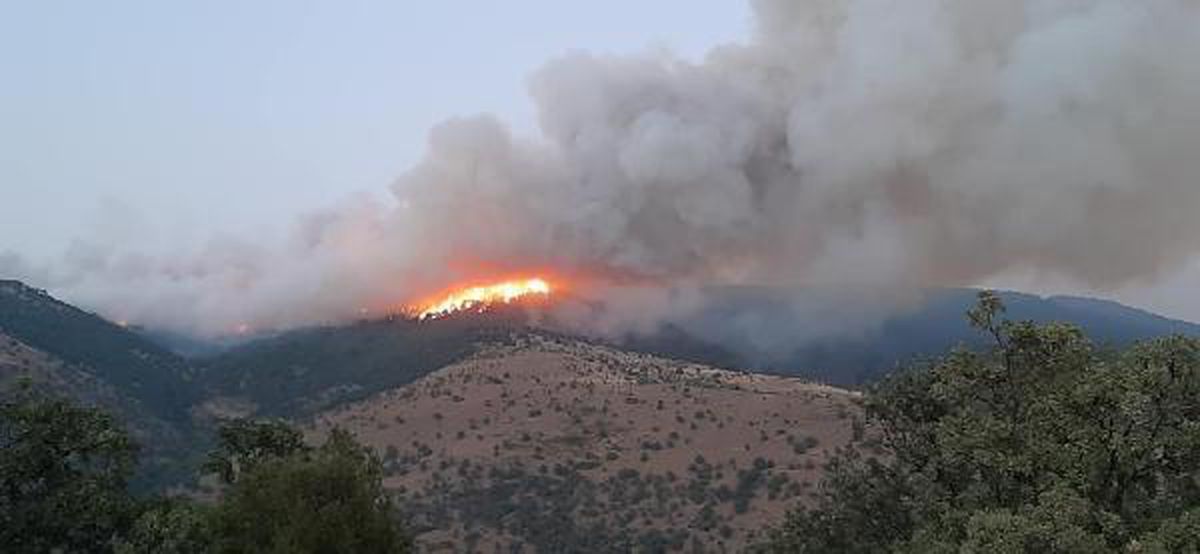 Karacasu'da orman yangını (2)