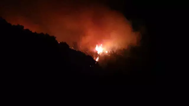 Karacasu'da yangın yön değiştirdi, bazı evler tahliye edildi