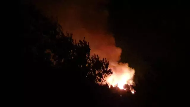Karacasu'da yangın yön değiştirdi, bazı evler tahliye edildi