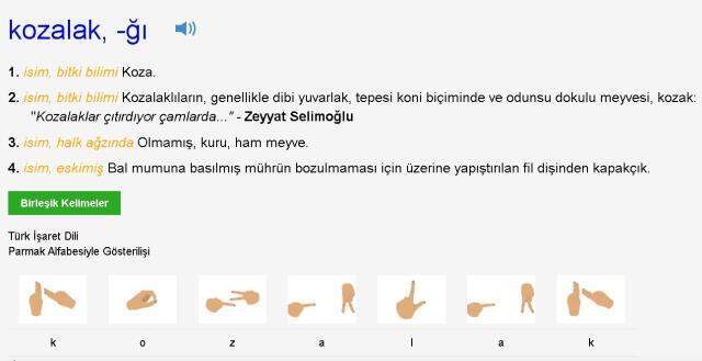 Kozalak ne demek, nedir? Kozak nedir? TDK'ya göre kozalak ne demek?