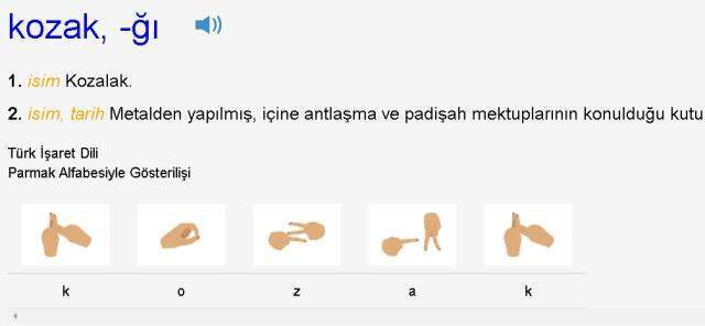 Kozalak ne demek, nedir? Kozak nedir? TDK'ya göre kozalak ne demek?