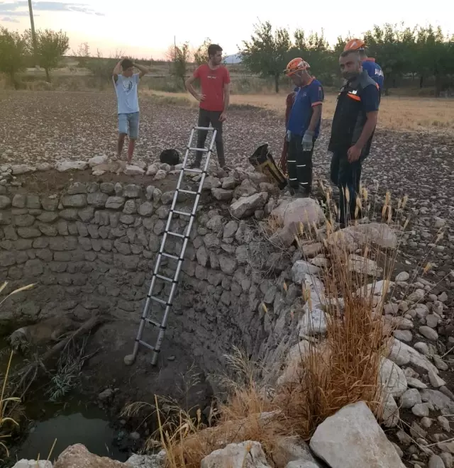 Kuyuya düşen köpeği AFAD takımları kurtardı