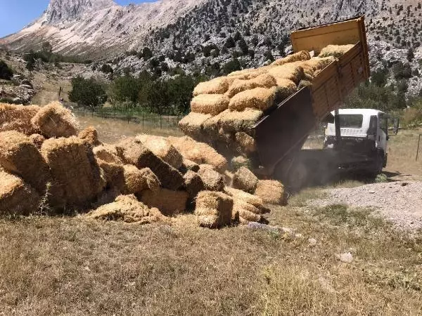 MANAVGAT'TAKİ BÜYÜK YANGIN; ÇADIRLAR KURULUYOR