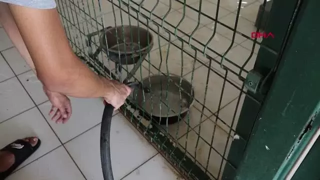MANAVGAT'TAKİ BÜYÜK YANGIN; ÇADIRLAR KURULUYOR