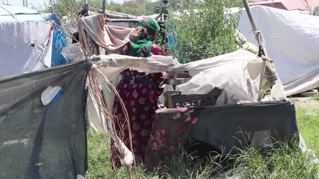Mevsimlik tarım çalışanlarına çadırlarında aşı hizmeti