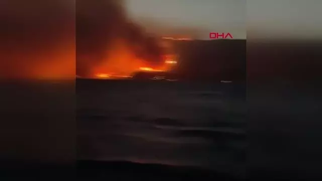 MİLAS YANGINDA TERMİK SANTRAL TEHDİT ALTINDA