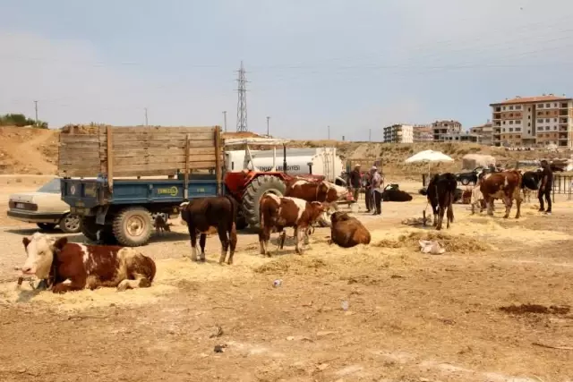 Oda ve borsalardan Manavgat'a yardım eli