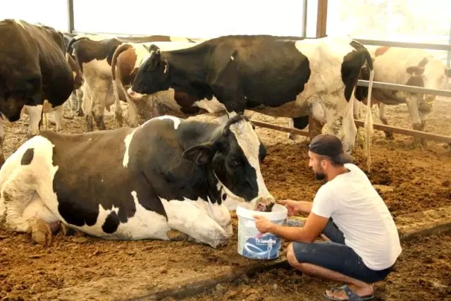 Oda ve borsalardan Manavgat'a yardım eli