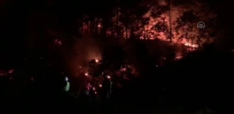Orman yangınında evinde mahsur kalan kişi kurtarıldı