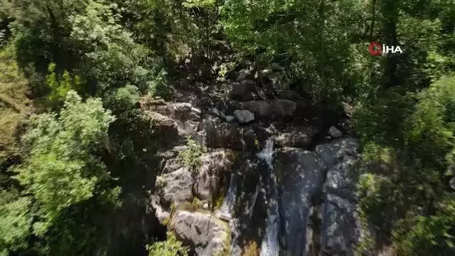 Sındırgı'da ormanlar yangın riskine karşı temizlendi