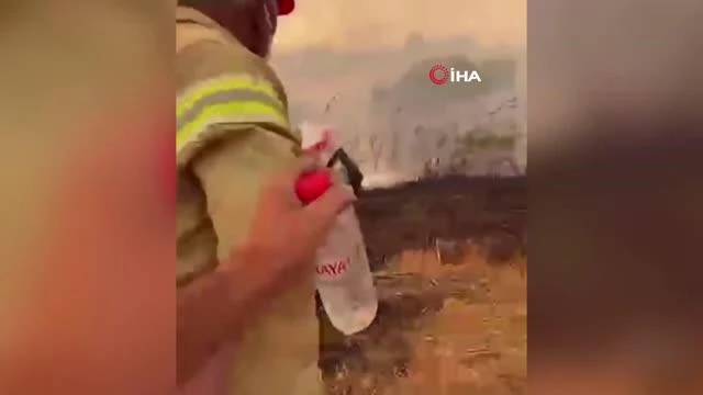 Son dakika haberi: Su içmeyi reddedip orman yangınına kahramanca müdahale etti