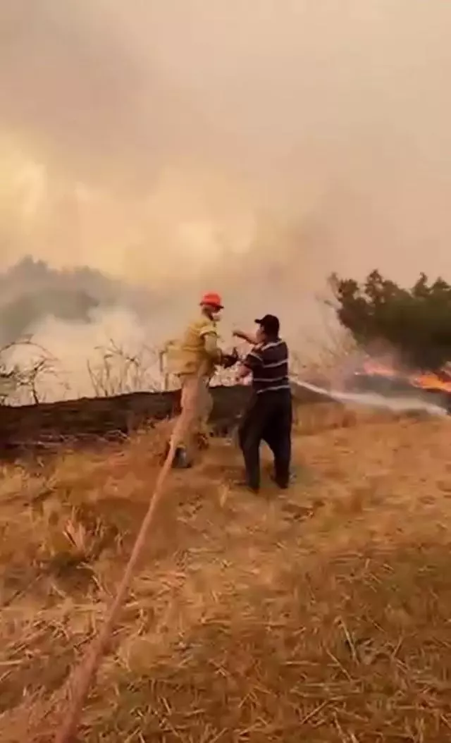 Son dakika haberi: Su içmeyi reddedip orman yangınına kahramanca müdahale etti