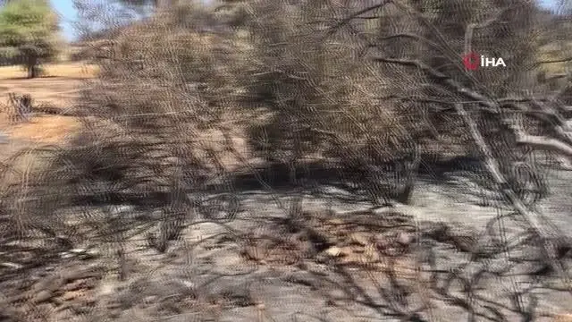 Sütçüler'deki yangın büyük ölçüde kontrol altına alındı