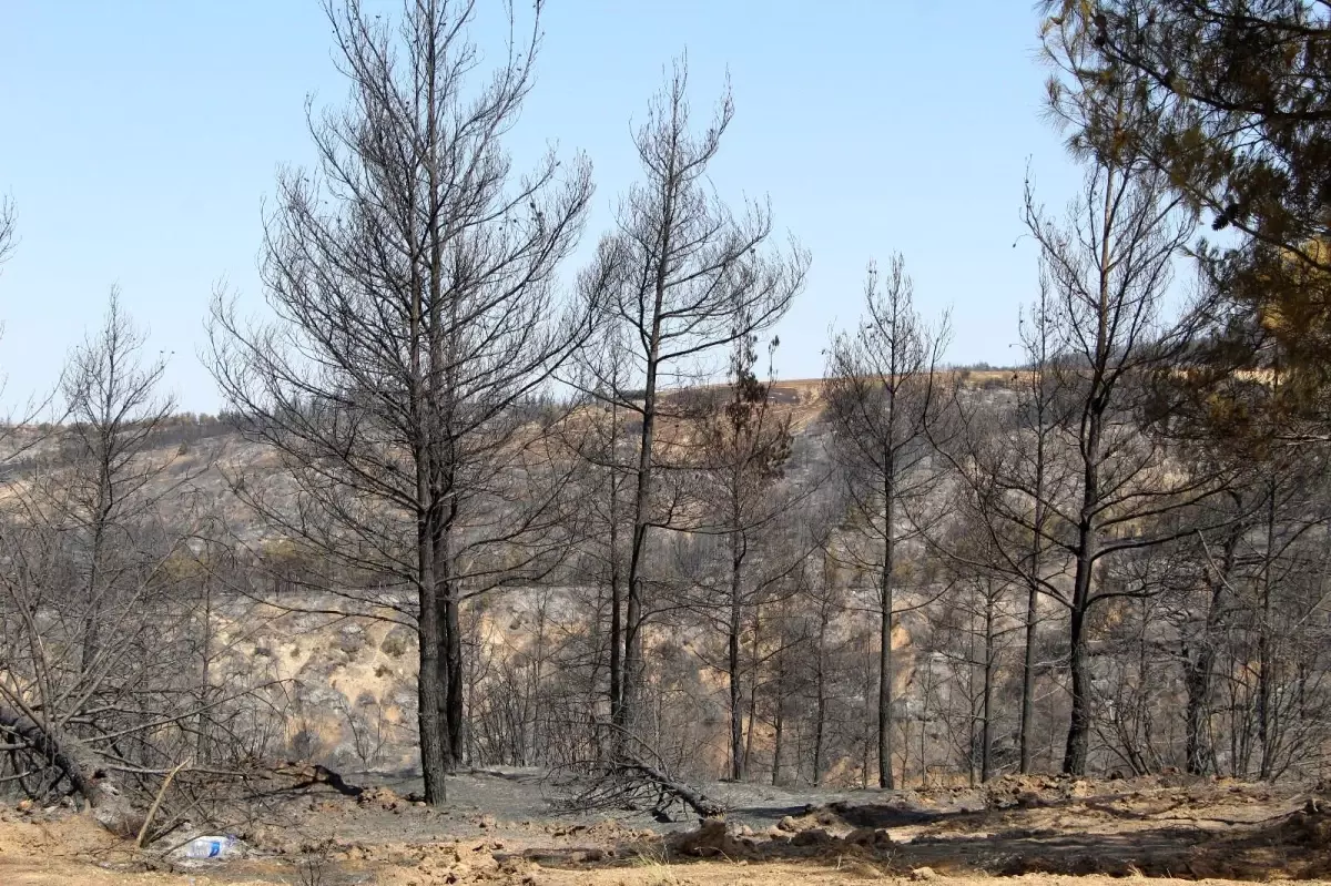 Tavas'taki yangın kontrol altına alındı