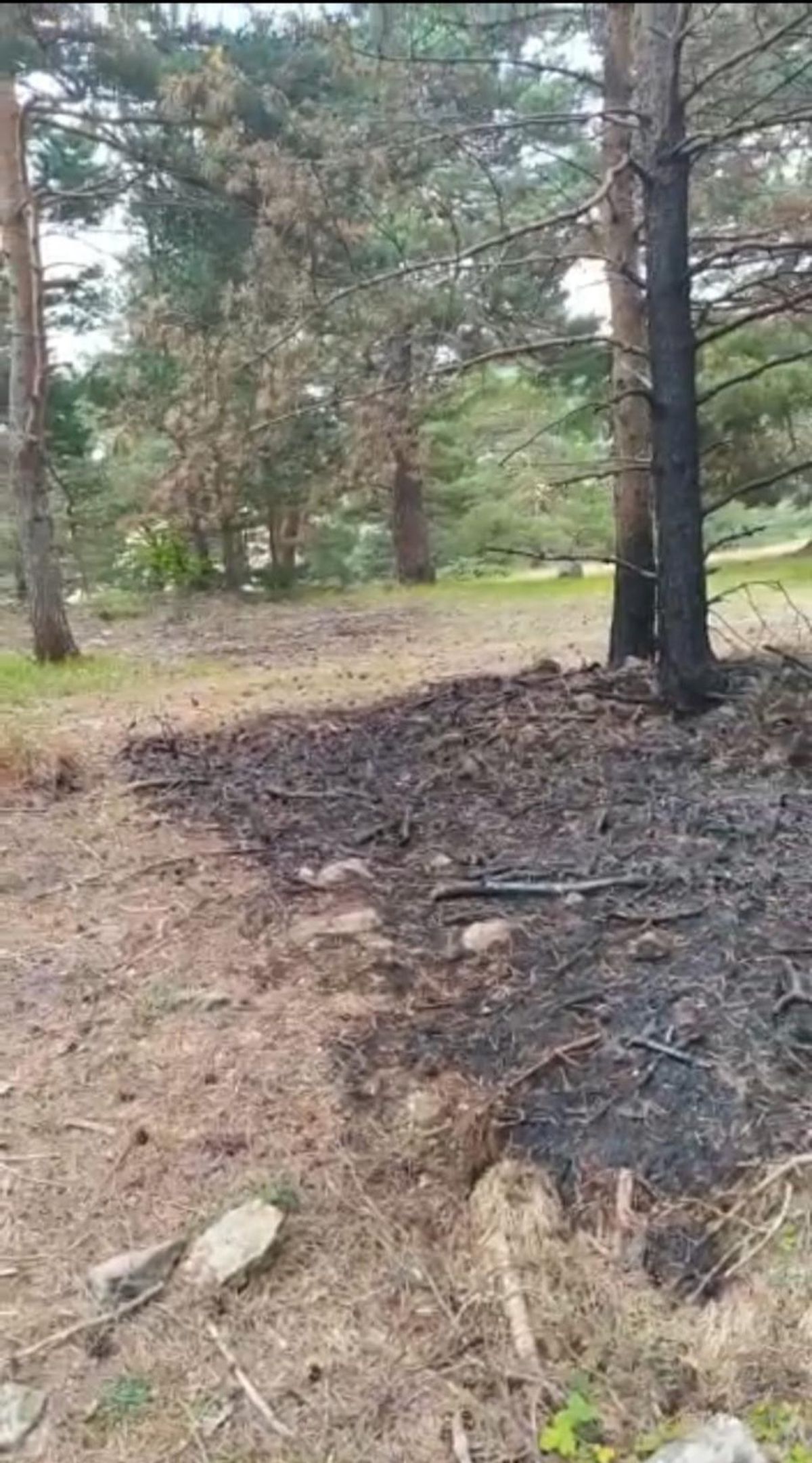 Son dakika: Tokat'ta örtü yangını