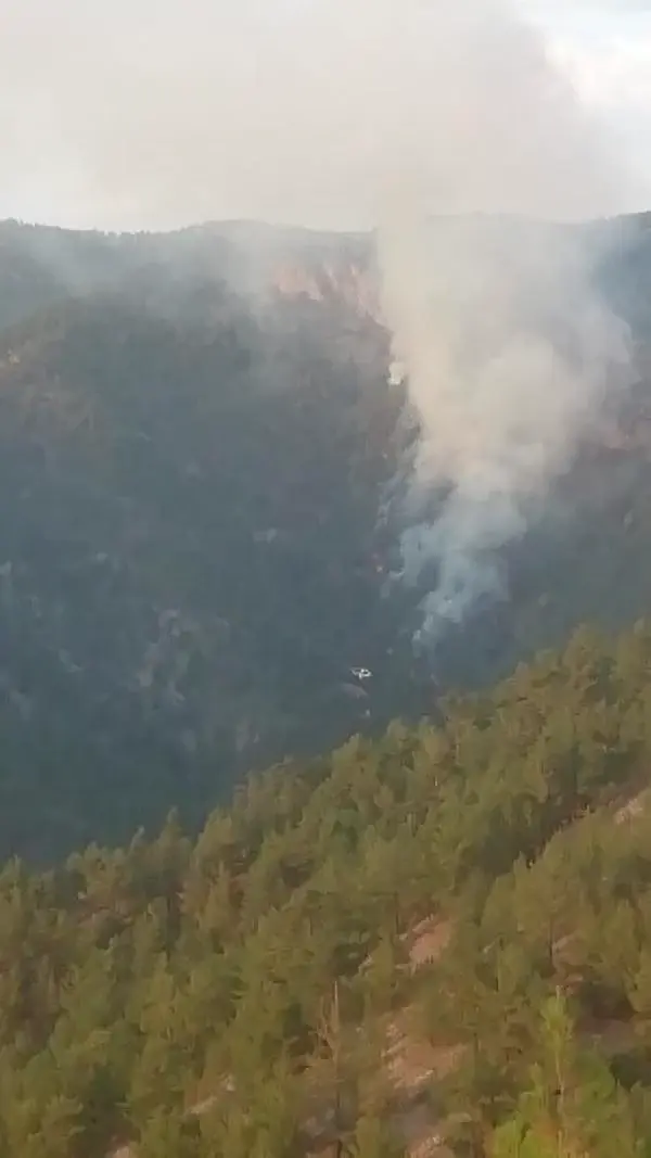 Adana'ya düşen yıldırımlarda 3 kişiyi yaralandı, ormanda yangın çıktı