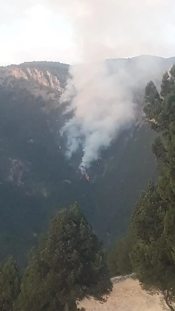 Adana'ya düşen yıldırımlarda 3 kişiyi yaralandı, ormanda yangın çıktı