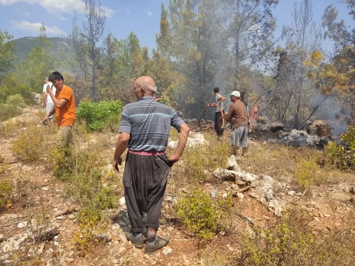 Alanya'da orman yangını