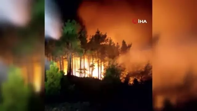 Antalya'nın Manavgat ilçesindeki yangına polislerden TOMA ve kumlu müdahale