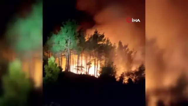Antalya'nın Manavgat ilçesindeki yangına polislerden TOMA ve kumlu müdahale