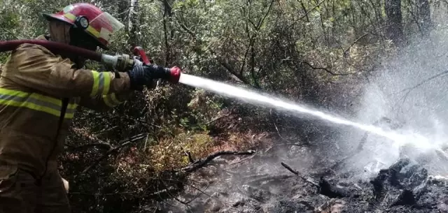 Deniz Kuvvetleri yangına müdahale ediyor
