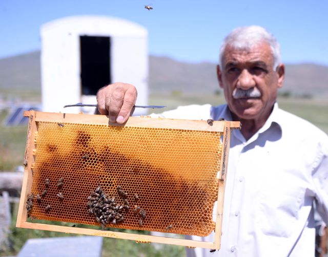 Kuraklık, tescilli Ardahan çiçek balı nda rekolteyi düşürdü