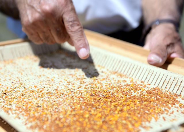 Kuraklık, tescilli Ardahan çiçek balı nda rekolteyi düşürdü
