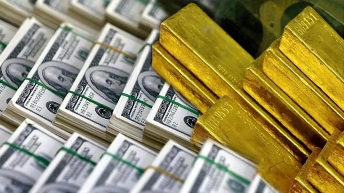 Merkez Bankası rezervleri 105 milyar 721 milyon dolara yükseldi