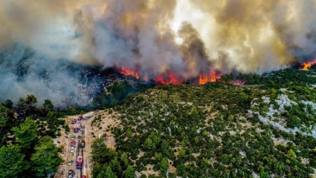 Muğla Büyükşehir Belediyesi yangın bölgelerindeki son durumu paylaştı! Çökertme'de 15 bin hektar kül oldu