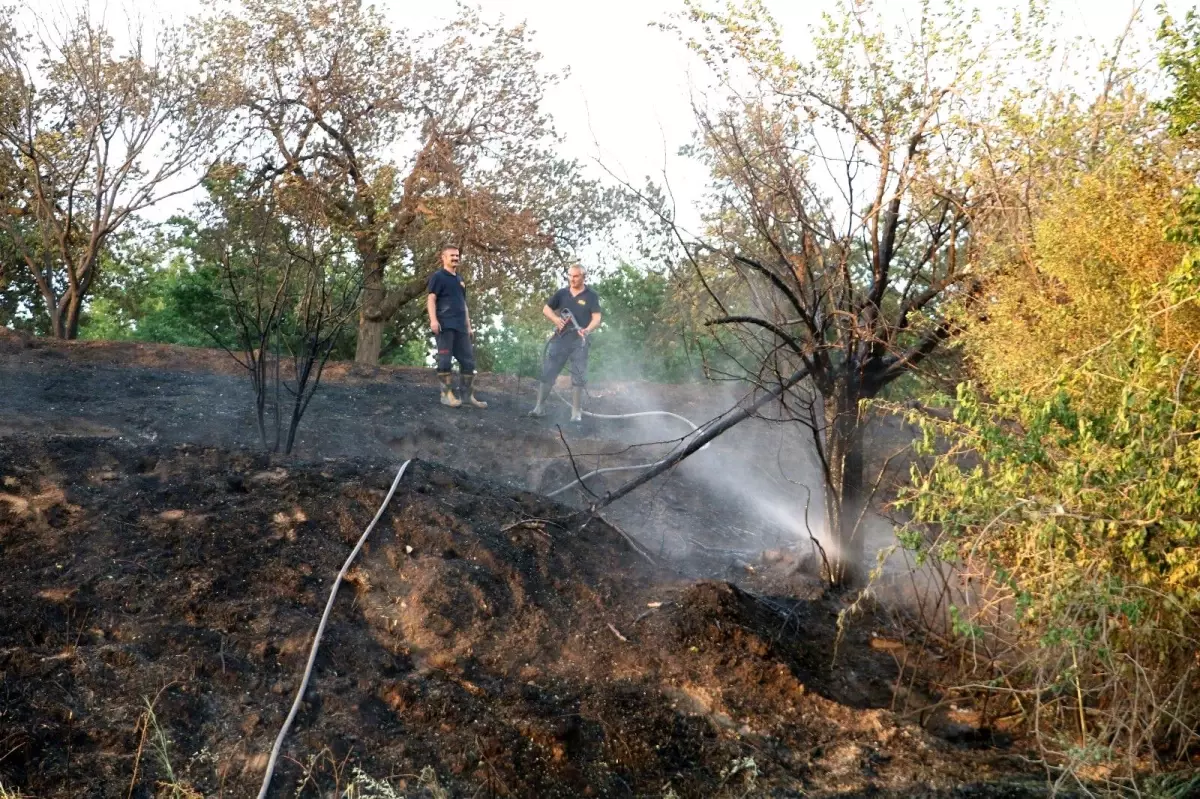 Otluk alanda başlayan yangın kayısı bahçesine sıçramadan söndürüldü