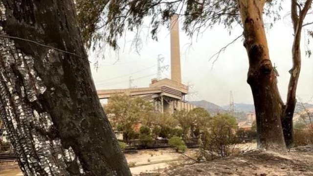 Son Dakika! Bakan Dönmez'den termik santraldeki yangınla ilgili açıklama: Santrali ve sıhhati tehdit eden bir durum yok