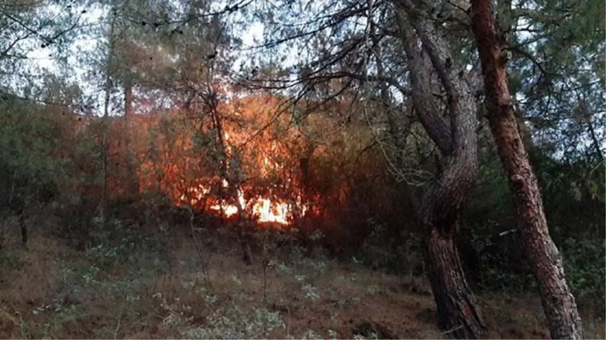 Son Dakika: Karabük merkez yangını kontrol altına alındı, soğutma çalışmaları devam ediyor