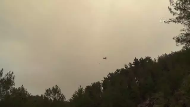 Köyceğiz'de orman yangınlarının tehdit ettiği bir mahalle daha boşaltıldı