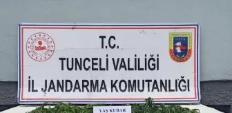 Pülümür Haber, Pülümür Son Dakika Haberleri - Haberler