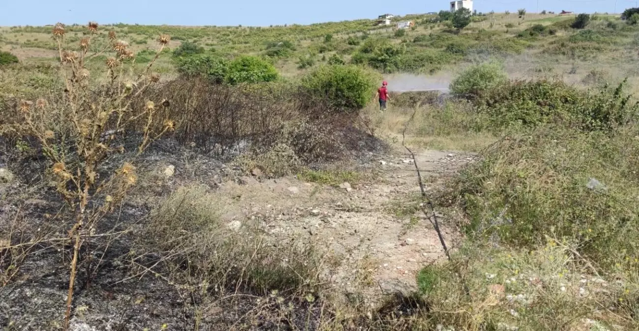 Yalova'da otluk alanda çıkan yangın söndürüldü
