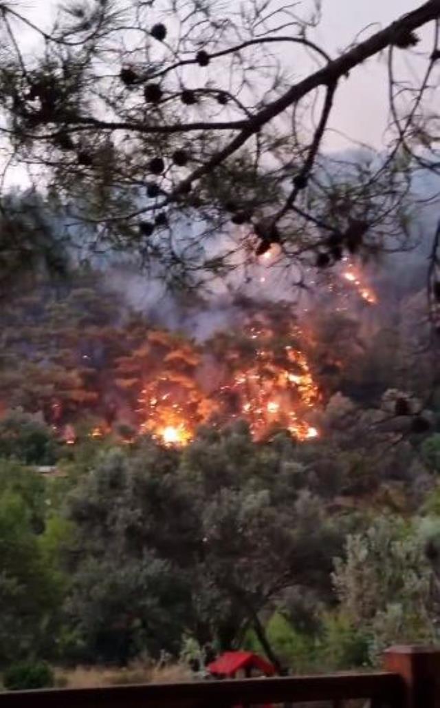 Yangın bölgesindeki Şahan Gökbakar'dan provokatör uyarısı: Adamı gırtlaklıyordum