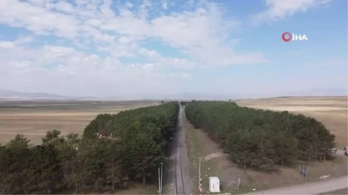 Bozkırın ortasında mest eden 'vaha'